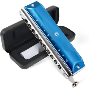 Chromatic Harmonica Valvelessfor  Adult Beginners 10 Hole Harmonica Key of C Stainless Steel Mouth Organ with Brass Reed in Case, C Key Blue