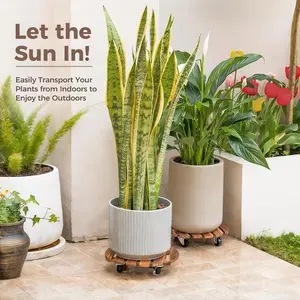 Rolling Plant Caddy with Wheels - Heavy Duty Wooden Plant Stand 240lbs