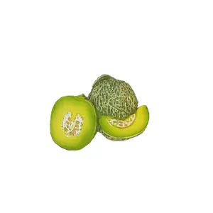 Fruit Frenzy Magnets Set: Bursting with Flavor, Magnetic Tropical Home Decor Refrigerator Magnets, Mango, Strawberry, Adventure, Succulent