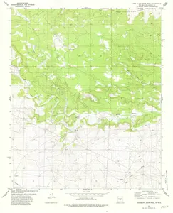 Red Bluff Draw West New Mexico USGS Topographic Quadrangle Map, 1981, 1:24000