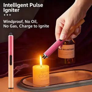 Intelligent Pulse Igniter Windproof No Oil No Gas Portable Dual Safety Switch LED Display Type C Charging for Camping & Outdoor Activities