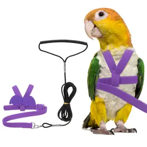 PETAXCELL Bird Harness Leash, Adjustable Pet Parrot Bird Harness and Leash Lightweight Anti-Bite Flight Training Rope with Cute Wing, (Purple, L), Intended for Parrots/Pigeons/Budgies