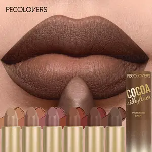 Nude Lipstick Matte Brown Lip Gloss High Pigment Makeup Classic Sexy Lipgloss Non-Stick Cup Long Lasting Red Lip Tint Cosmetics Individual Lipsticks