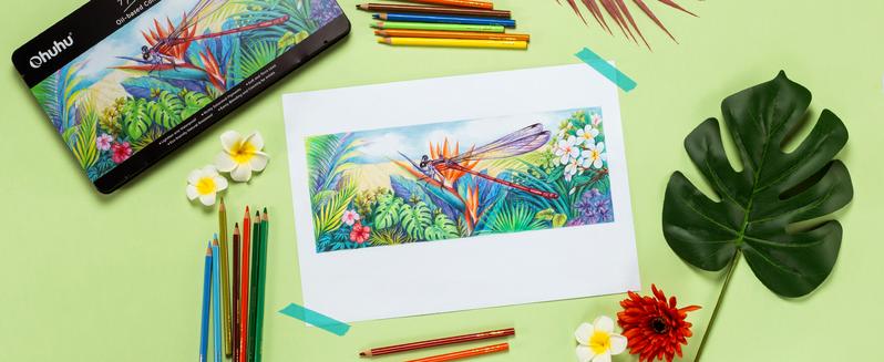 Ohuhu Professional ColoredPencils 72-color Oil-based for Coloring Portrait Sketching Landscape DurableSoftCore for Artist Adult Beginners HalawaSeries