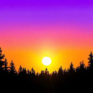 Sportswear Store qaz