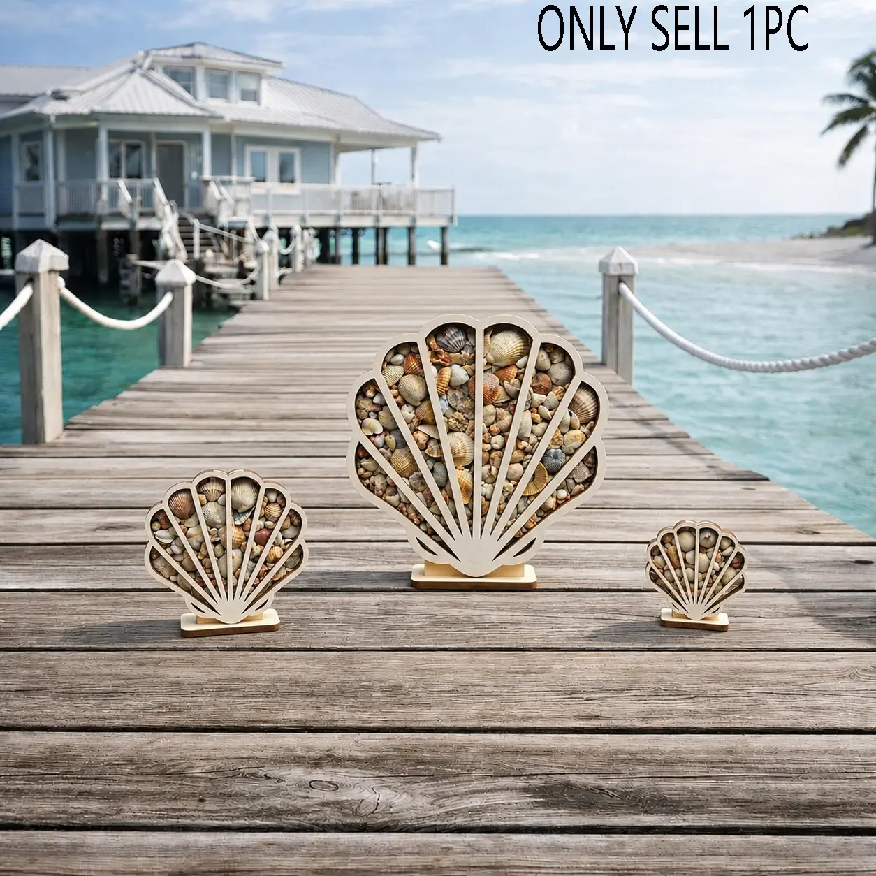 Creative Fan-Shaped Seashell Shadow Box, Wooden Framed Shell Display Frame Beach Collector Storage Case, Coastal Beach Souvenir Decor, Rustic Ocean Shell Art Wall & Tabletop Ornament, Perfect Gift for Beach Lovers, Summer Home Coastal Decoration