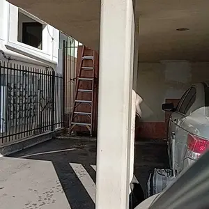 BugMD Essential Pest Control Concentrate – Natural Ant, Roach, Spider Killer for Indoor & Outdoor Use with Essential Oils