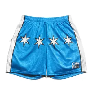 CM Punk SummerSlam 2025 Retro Mesh Shorts Blue All-Over Print Active Sport