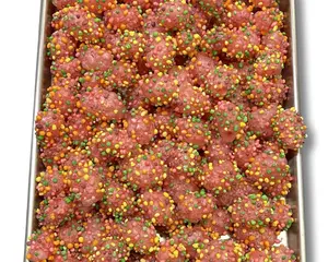 Freeze Dried Super Clusters - Rainbow