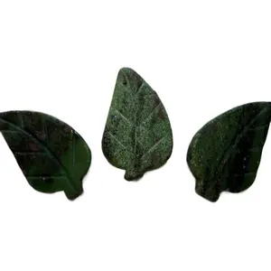 Ruby in Zoisite Leaf