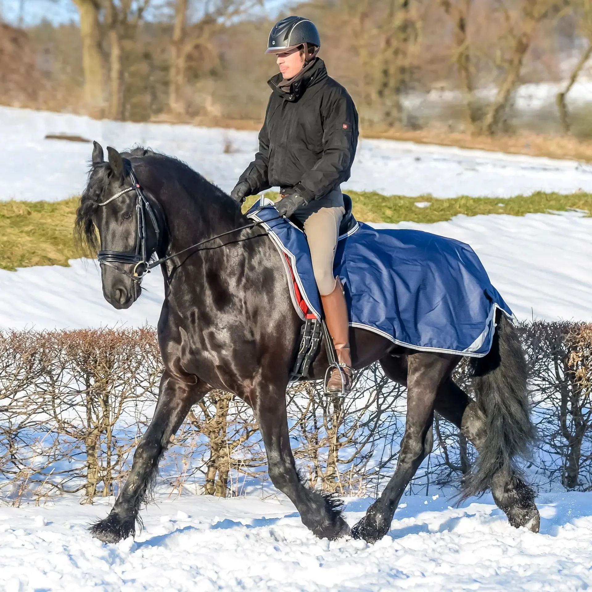 Toklat Bucas Riding Rug - Waterproof Horse Exercise Blanket and Quarter Sheet Large