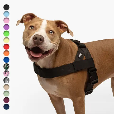Dog Friendly Co. No-Pull Dog Walking Harness - Choke-Free Design, Padded Comfortable, 1-Click Simple Clip Buckle, Grab-Handle Ease, Chafe-Resistant Adjustable Straps, Lightweight, All-Day Wear, Secure Walks, Multi-Size XXS-XL