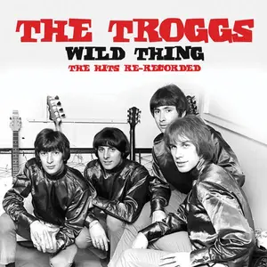 Wild Thing: The Hits Re-Recorded - Troggs - CD
