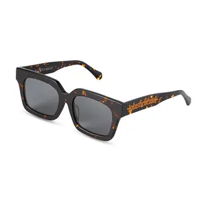 Plastic Brain 2026 Premium Geometric Double Beam Sunglasses, Trendsetting Summer Eyewear for Vacation, Travel and Daily Wear