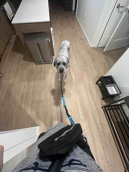 product review image from j4c 3