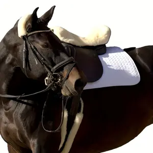 Equestrian Dressage Girth, Horse Belly Band With Fake Lambskin, Available In Multiple Sizes