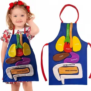 3D Organ Anatomy Teaching Apron Tool, Detachable Removable Filled Organs Model, Stomach, Ideal for Home Education & Kindergarten Learning Aid