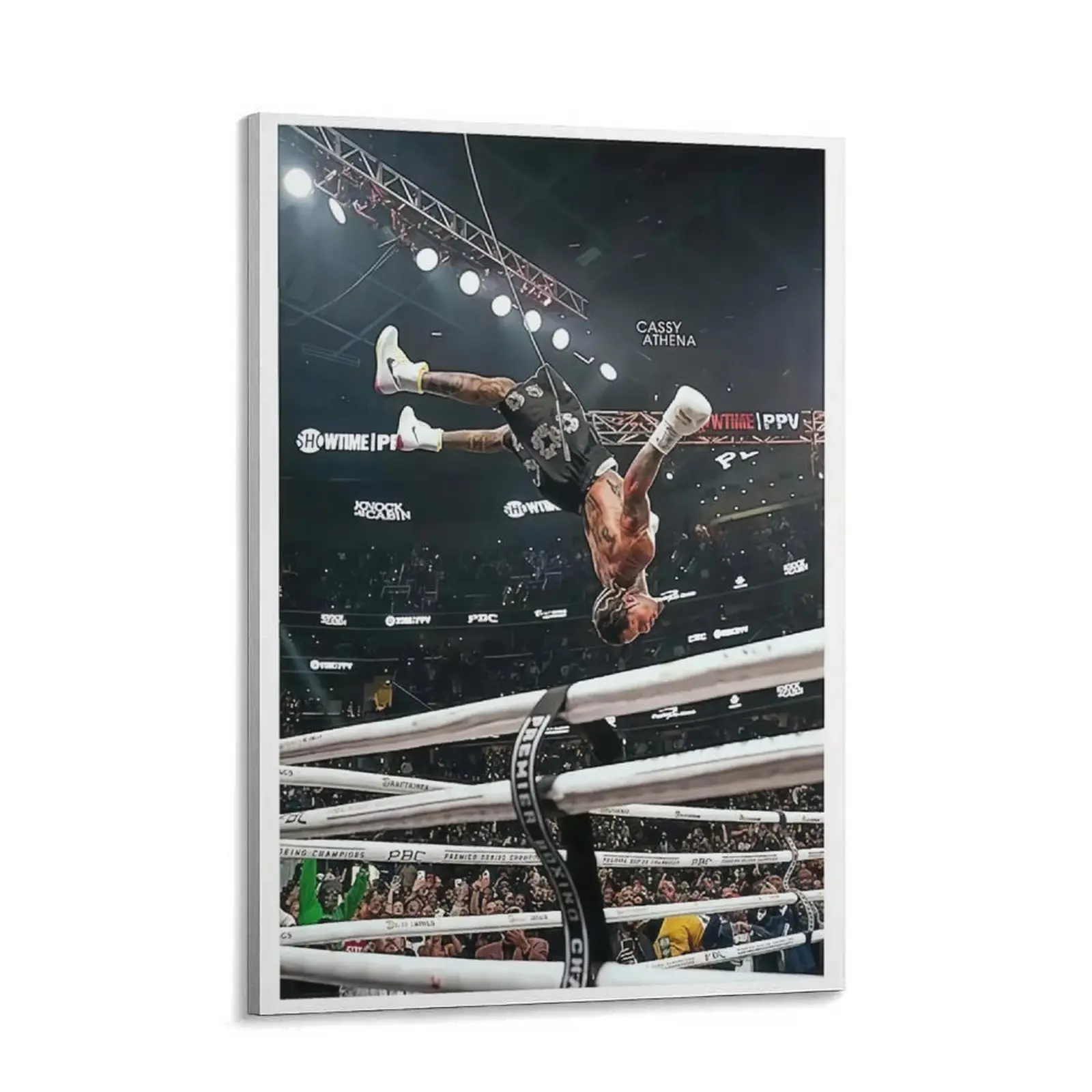 Tank Davis Flip Graphic Poster, Contemporary Boxing Fight Sports Wall Art, Multi-Size 1-Piece Canvas Print for Hypebeast Man Cave & Bedroom Home Decor, One-Piece