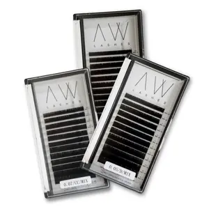 Easy Fan Volume Lashes