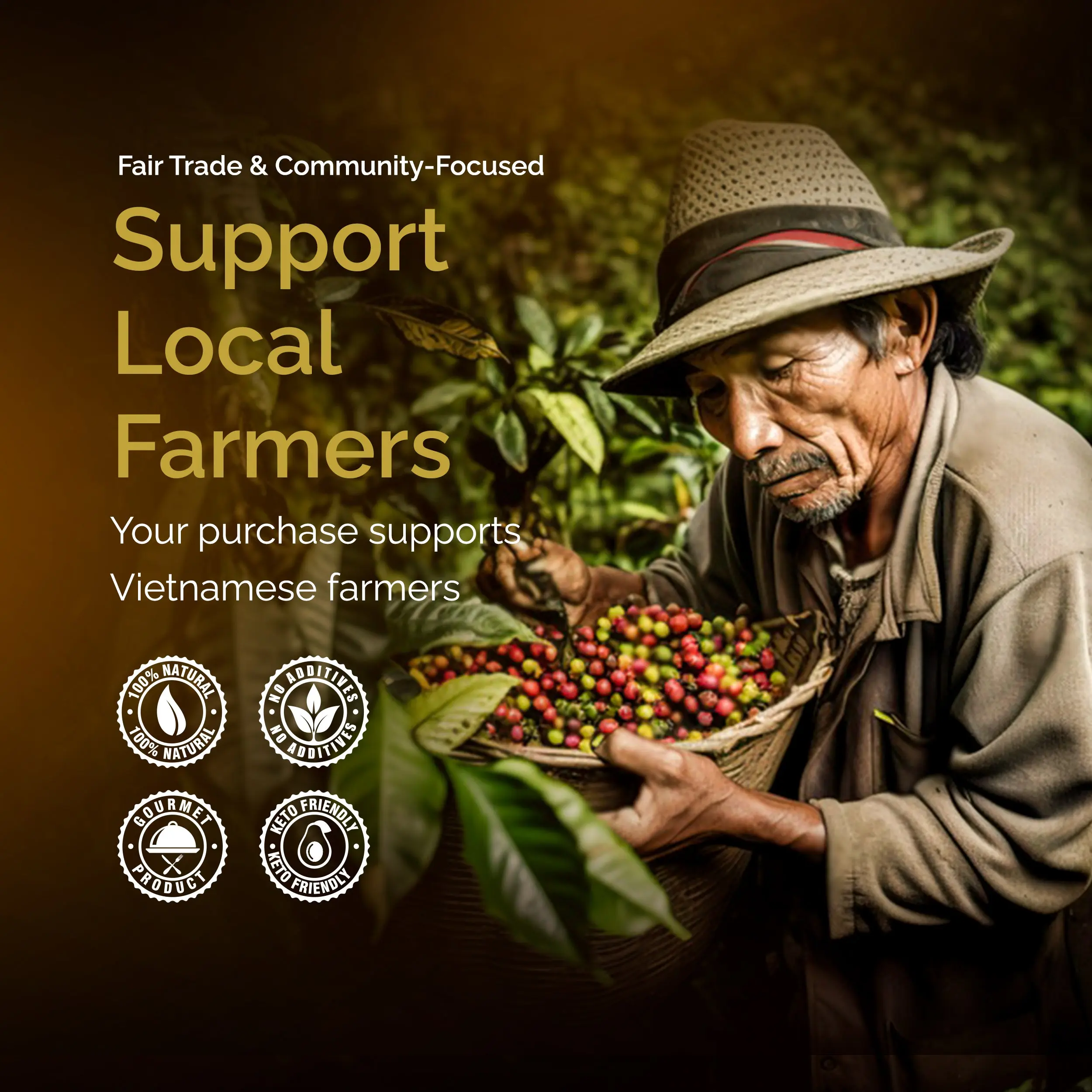 Birdee Vietnamese Coffee Bean - Bold Eagle - 100% Robusta Coffee Beans - Premium Aromatic Coffee - Cold Brew Espresso French Press Beverage