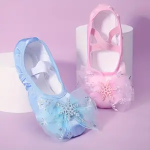 Children's princess dance shoes, girls' soft-soled ballet shoes, girls' Chinese dance training special cat paw shoes
