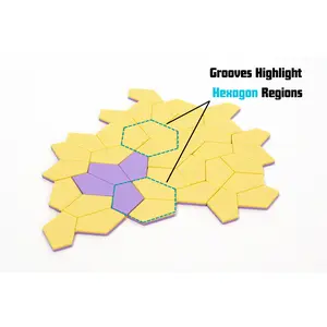 Einstein "Hat" Polykite Aperiodic 24-Tile Puzzle Set