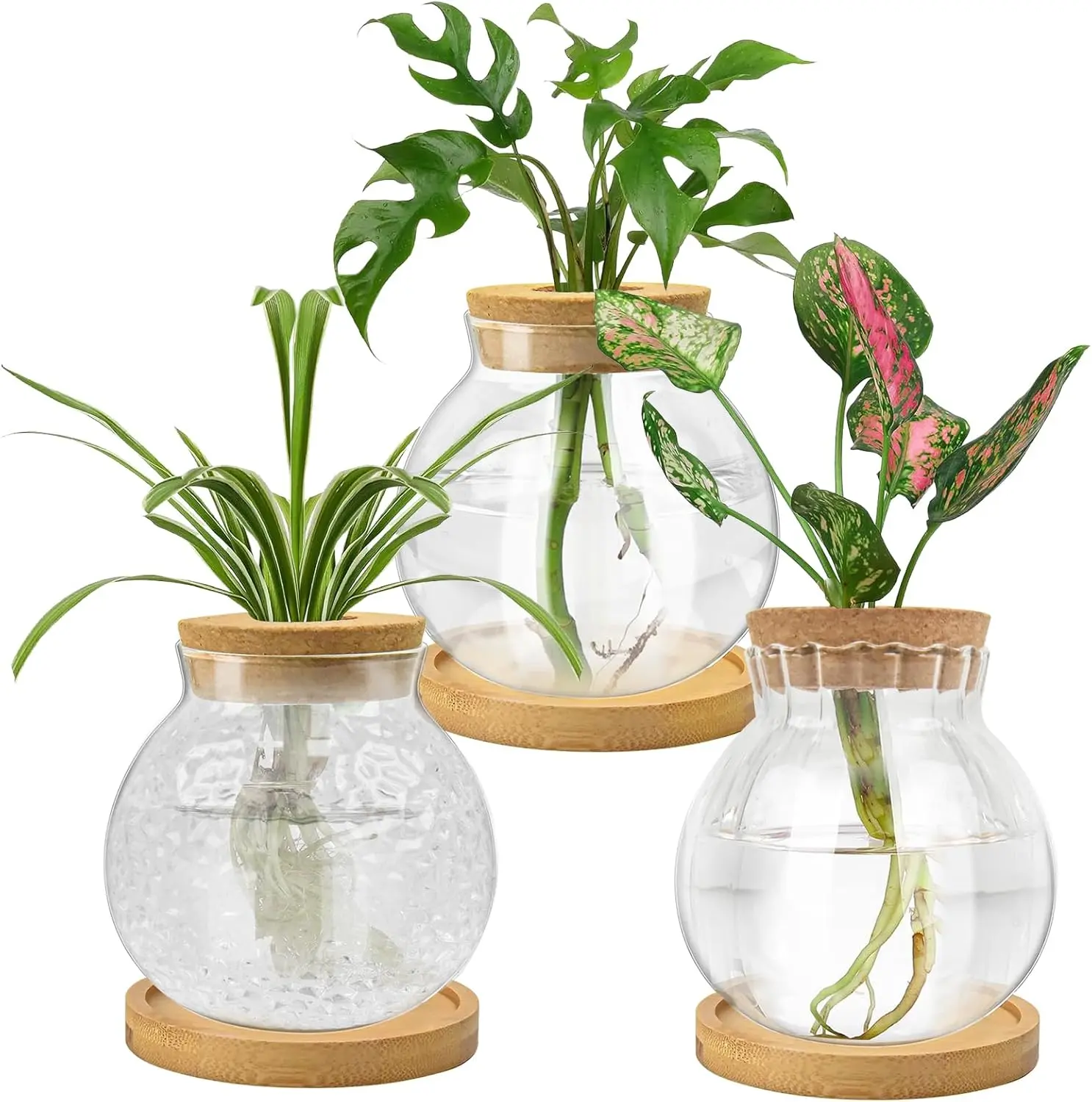 Propagation Station, Water Planting for  with Tray & Wooden Saucer, Hydroponics  Jars Home Office Desktop Decor, Glass Planters for Indoor Hydroponic Decor