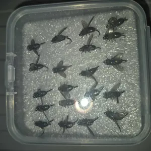 Artificial Fishing Lure, 20pcs/set Realistic Fly Bait, Trout Clamp Swimming Bait, Dry Fly Sea Bass Fly Bait Kit, Saltwater and Freshwater Fly Rotator Swimming Bait