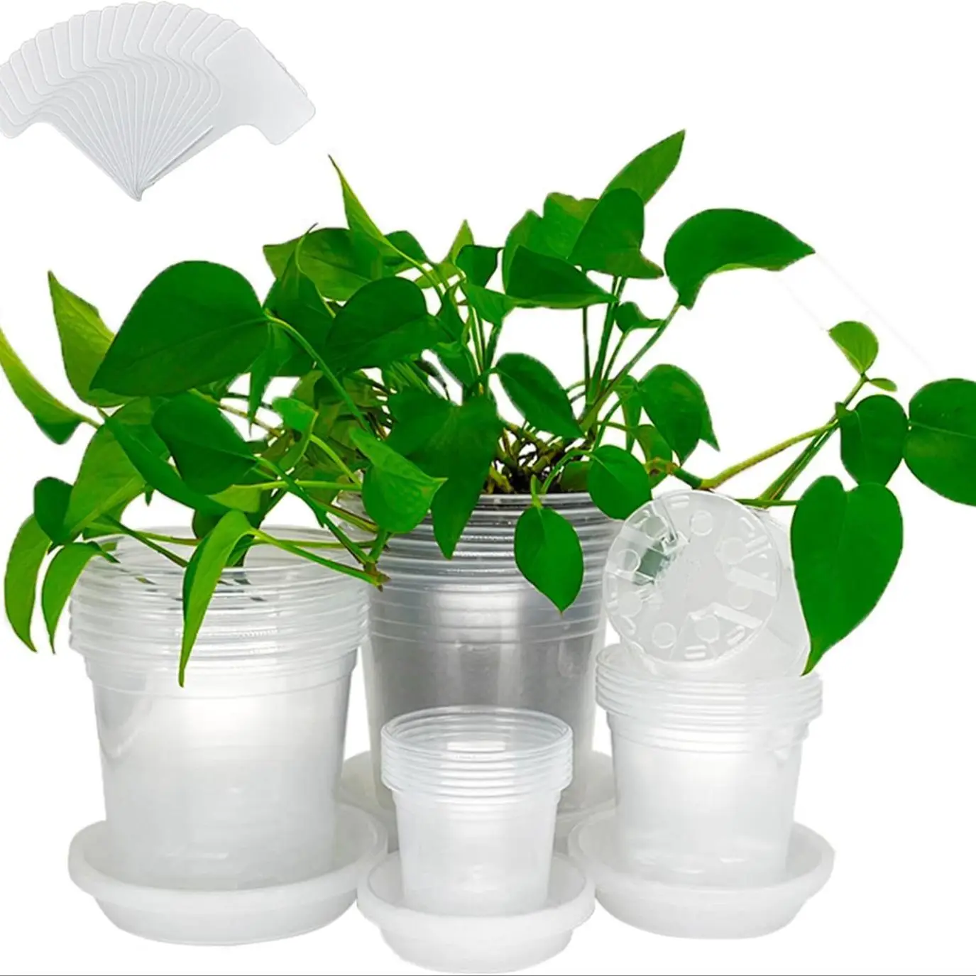 Plant Pot Set with Identification Label & Matching Saucer, Plastic Plant Pot with Drainage Holes for Home, Seed Starting Nursery Pots for Raised Garde