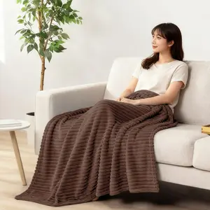 Double-Sided Cloud Fleece Blanket, Warm Solid Color Throw, Modern Style All-Season Cover, Multi-Functional Home Use, Pet Small Blanket