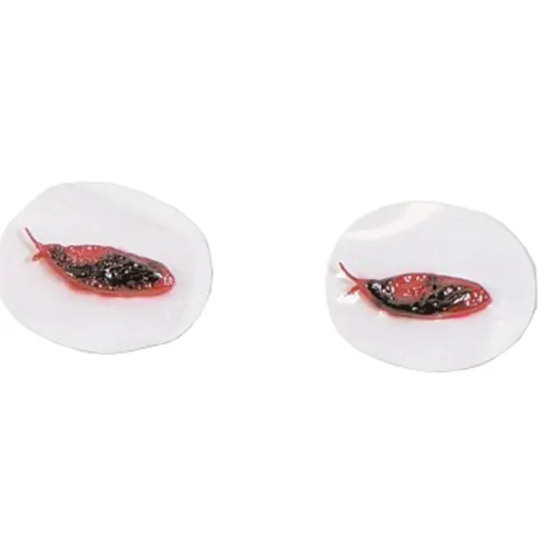 Simulaids Bunny Ears Replacement Parts