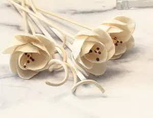 Limited-edition Floral Diffuser Reeds// Botanical Reeds Pour Diffuseur de Parfum