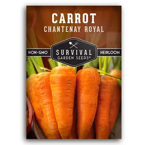 Chantenay Royal Carrot Seeds