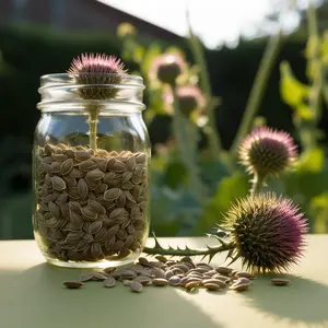 Heirloom Milk Thistle Seeds