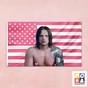 Sebastian Stan Pink Flag Wall Hanging Tapestry Winter Soldier Wall Art Banner for Marvel Fans, Dorms, or Gifts, Home Bedroom Decor Shirtless Fandom Decor Tapestry Wall Mural