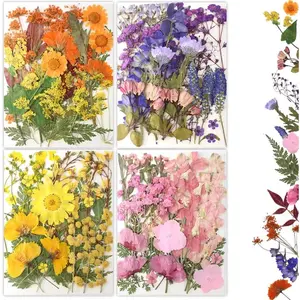 80Pcs Pressed Flowers, Dried Flowers Natural Pressed Flowers Bulk for Resin Molds, Nail Art, Scrapbooking, Candle Holder, Jewelry Making, Real Dried Pressed Flowers DIY Crafts Supplies Kit