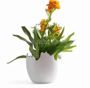 Egg Planter, Flower Pot Vase, House Plant Bowl, Succulent, Cacti, Snake Plant, Chicken Dinosaur Storage Bin, Home Garden Office Decoration, Gift