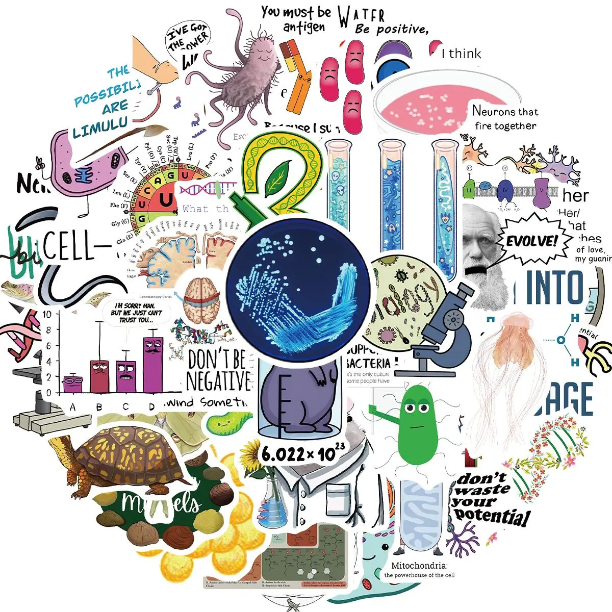 Biology Themed Sticker, 50pcs/set Funny Biology Sticker, Life Science Aesthetics Sticker Pack for Teachers & Students, Funny Biology Gifts for College Students, Decor