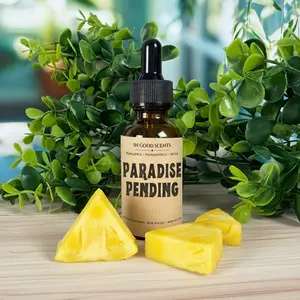 Paradise Pending | Diffuser Refill