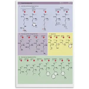 Genetic Code For Amino Acids (Chart Wheel) Posters(5) Canvas Wall Art Poster for Bedroom Living Room Decor