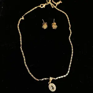 Plated gold necklace and hearings