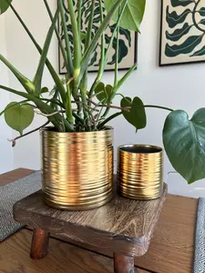 Gold Ceramic Pots (Set of 2)