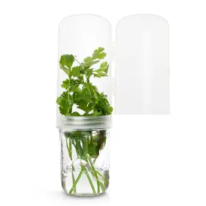 The Herb Angel BPA Free Clear Herb Container for Fridge - Fresh Herb Keeper for 2-3 Weeks Kitchen Storage Mason Jar Lid