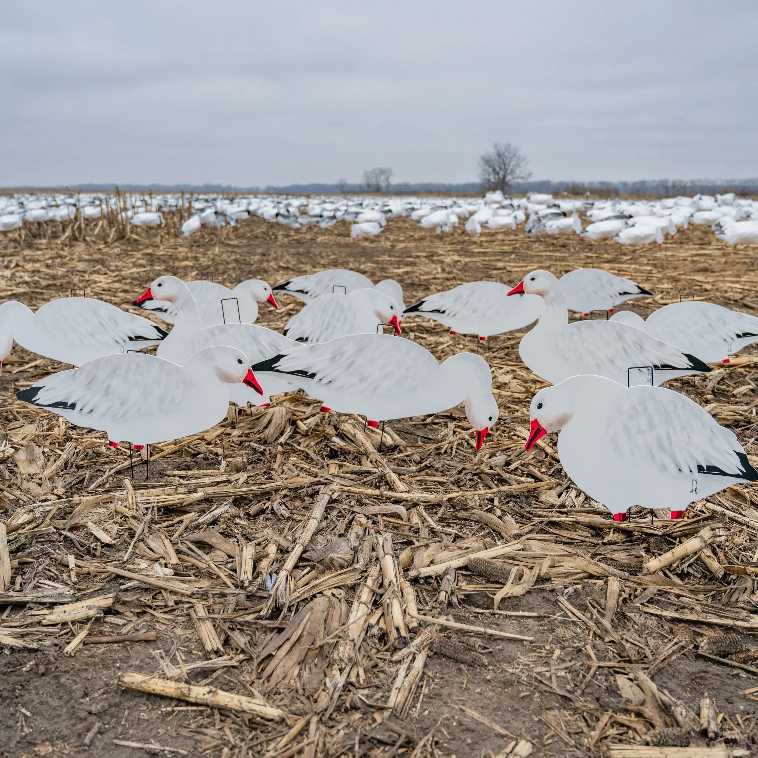 V2FF Fully Flocked Snow Goose Silhouettes V2FF Fully Flocked Snow Goose Silhouettes