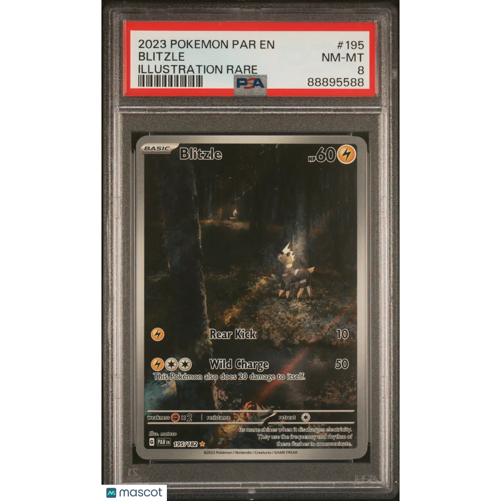 PSA 2023 PokéMon TCG Blitzle #195 8