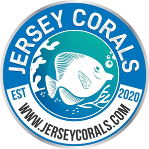 JerseyCorals