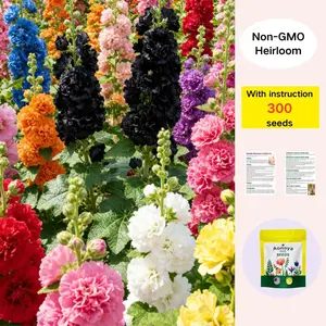 [Promise: Germinate or Refund]300pcs Double Hollyhock Seeds 'Radiant Rose - Mixed Colors, Non-GMO Heirloom, Hardy Biennial for Vibrant & Tall Blooms Plant Garden Outdoor Flower Pot Decorative Tulip