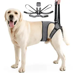 Injury-Assistance Dog Leash, Waistband Design Effectively Prevents Detachment of Gog Leash, Back-Type Traction Assistance Harness for Elderly and Disabled Dogs When Going Out，Gray