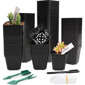 100 count 2.6" Square  Pots for Seeds - Thickened  Plastic Seedling Pots with 60  Labels & Tools - Seed Starter Pots with Drainage for , , Cuttings & Greenhouse