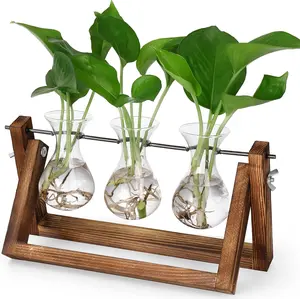 Plants Propagation Stations,Desk Plant Terrarium with Retro Wooden Stand,Unique Gardening Birthday Gifts for Women Plant Lovers,Hydroponics Plants Home Office Garden Decor-3 Bulb Glass Vases